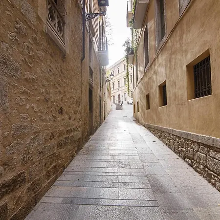 Tr Auriga En El Barri Vell * Girona