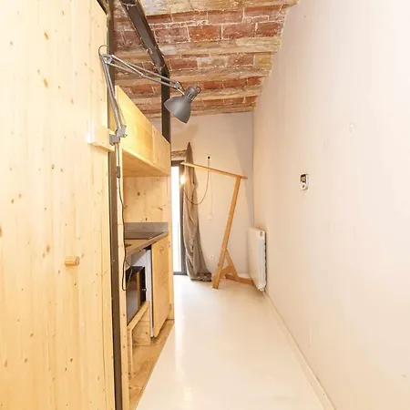 Tr Auriga En El Barri Vell Apartment Girona